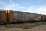 TTGX 256187
